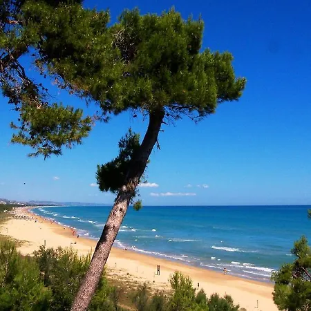 Orchidea 2 Vacanza Pineto